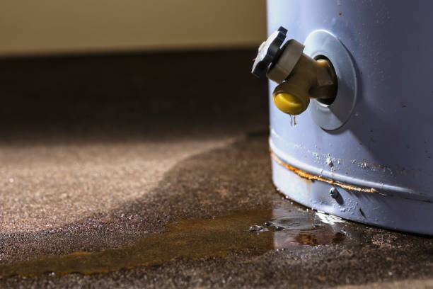 Best Flooded house restoration  in Tanque Verde, AZ