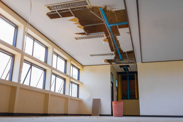 Best Water damage restoration specialists  in Tanque Verde, AZ