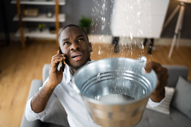  Tanque Verde, AZ Water damage restoration Pros