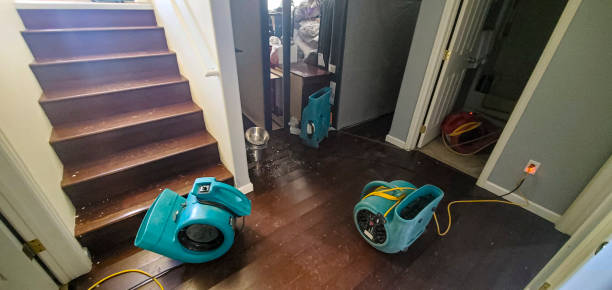 Best Water damage restoration near me  in Tanque Verde, AZ