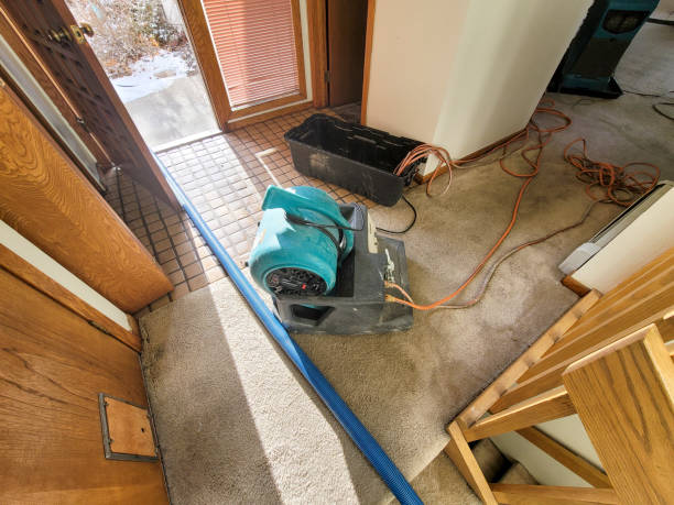 Trusted Tanque Verde, AZ Water damage restoration Experts