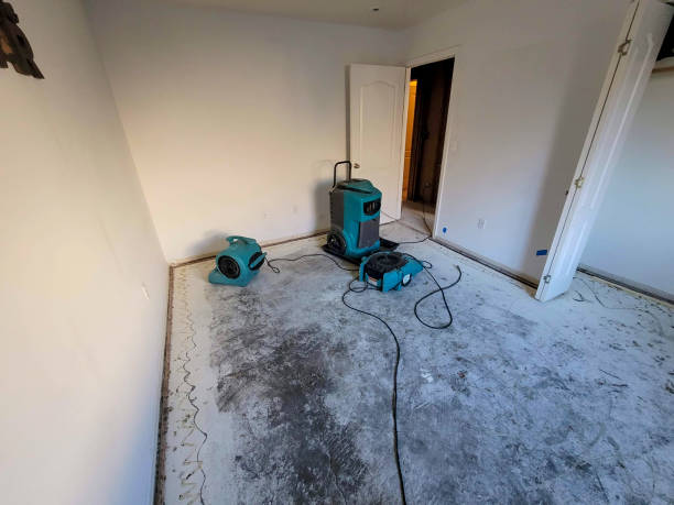Best Water damage restoration cost  in Tanque Verde, AZ