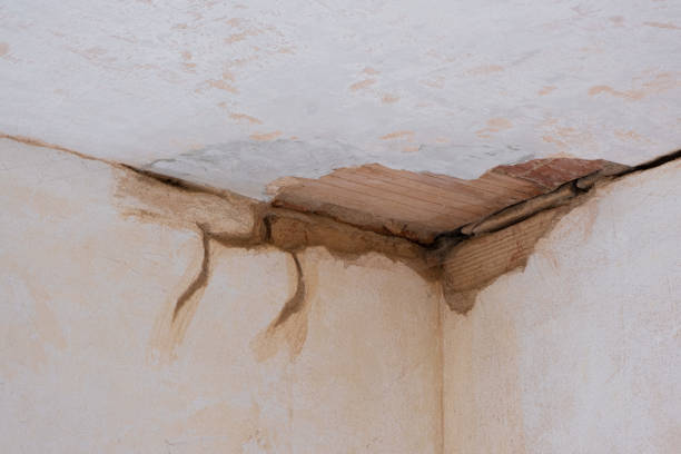 Best Water damage restoration near me  in Tanque Verde, AZ