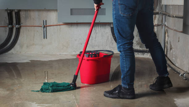 Best Water damage contractors near me  in Tanque Verde, AZ