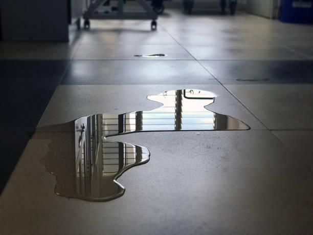 Best Commercial water damage restoration  in Tanque Verde, AZ