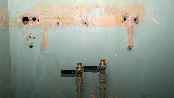 Best Ceiling water damage repair  in Tanque Verde, AZ