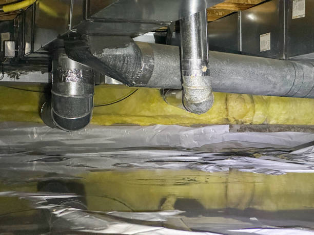 Best 24/7 water damage repair  in Tanque Verde, AZ