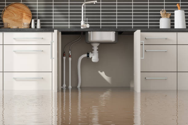 Best Water damage cleanup near me  in Tanque Verde, AZ
